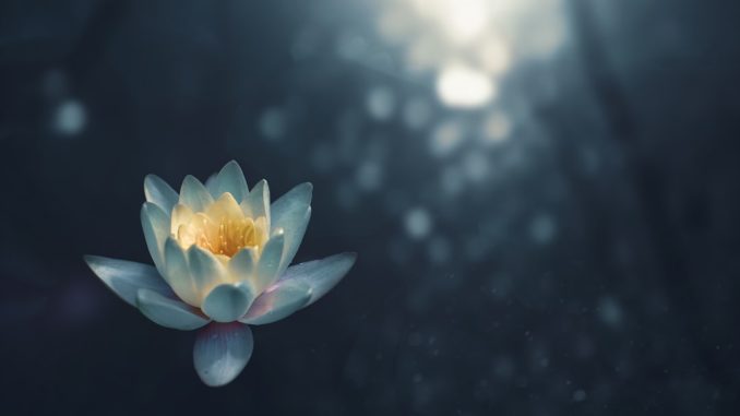 De bästa träningsapparna för yoga och meditation illustration